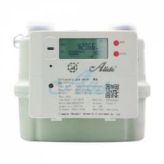 Ultrasonic Gas Meter primary image thumbnail